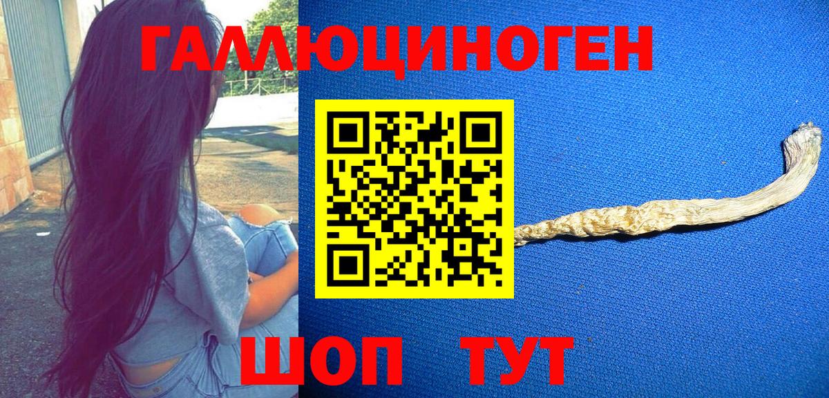 Псилоцибиновые грибы GOLDEN TEACHER Богородск