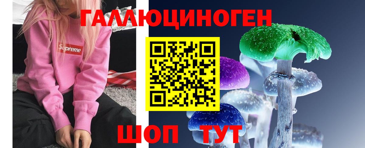 Богородск  Галлюциногенные грибы Psilocybine cubensis  Вход с VPN 